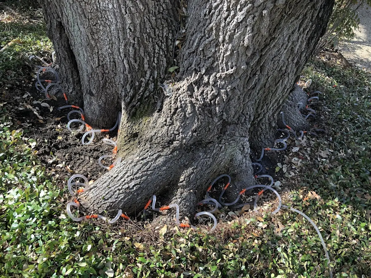 Detailed Shrub and Hedge Trimming job site in Atlas