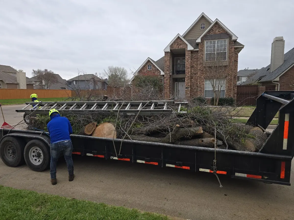 Expert Lot Clearing with proper safety equipment in Atlas
